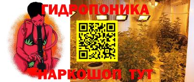 прущая мука Гатчина