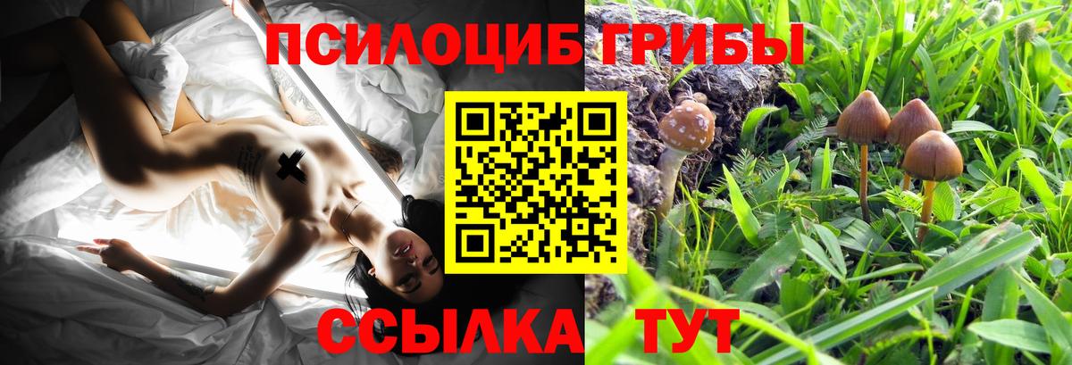 Псилоцибиновые грибы Magic Shrooms  Вход с VPN  Псилоцибиновые грибы прущие грибы  Березники 